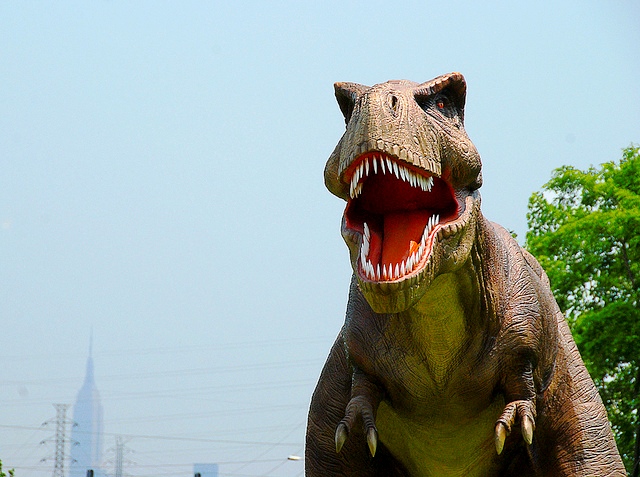 Credit: Joe Bodnar on Flickr