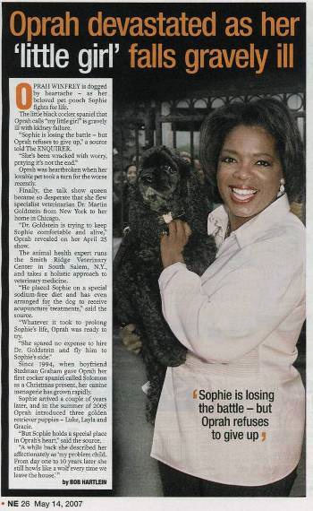 Delaware: A L.L.C.'s best friend