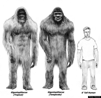 Credit: Peter Travers/Huffington Post