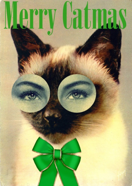 Credit: ( Ma + Chr )