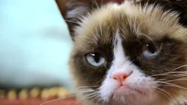 Credit: Quinn Miller Photography