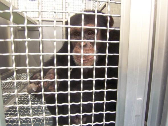 Credit: Humane Society Of America