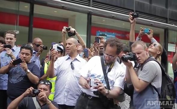 Credit: AnimalNewYork